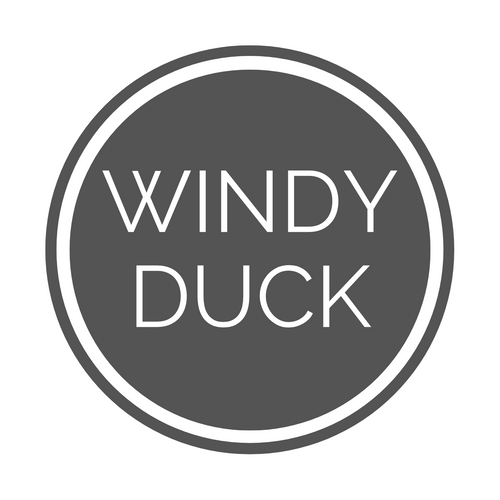 Windy Duck